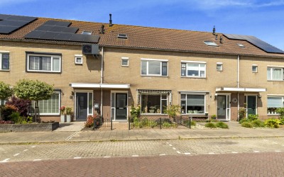 Vogelkers 49