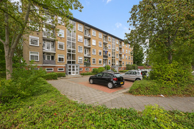 Carel van Manderstraat 45