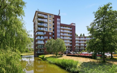 Lessestraat 274