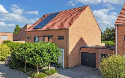 Terschelling 43