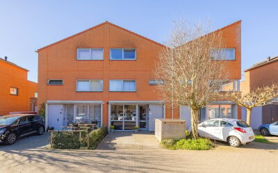 Texel 21