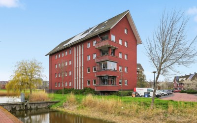 Singelweide 91