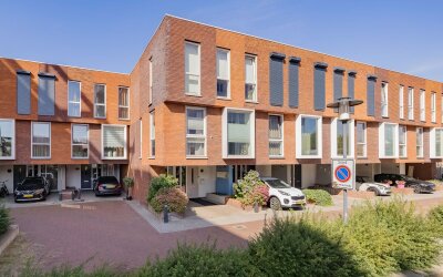 Pruimenboom. 11