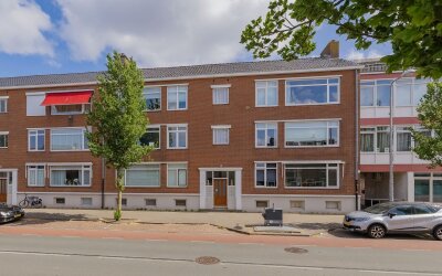 Linnaeusstr. 137