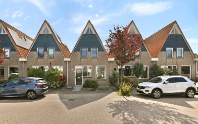 Pijlkruid 5