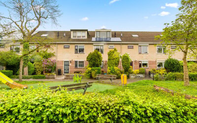 Kievitsbloem 7