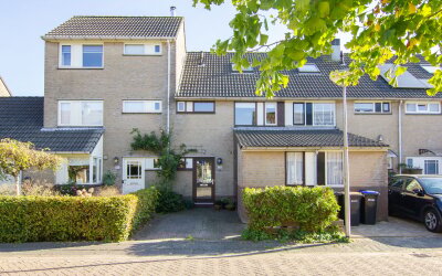 Grote Boterbloem 113