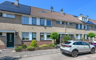 Grote Boterbloem 78