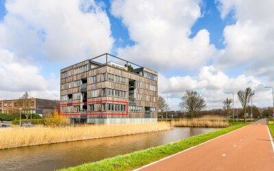 L. Springerstraat 242