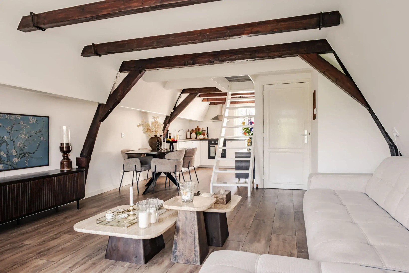 Appartement te koop: Nassaulaan 33B, Haarlem