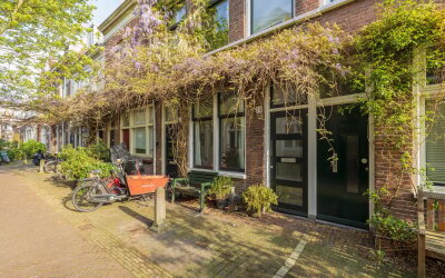 Nieuwe Krui. 15-ZW