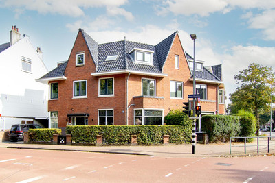 Kleine Hout. 53