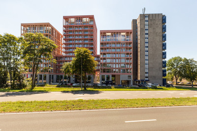 Claus Slute. 129