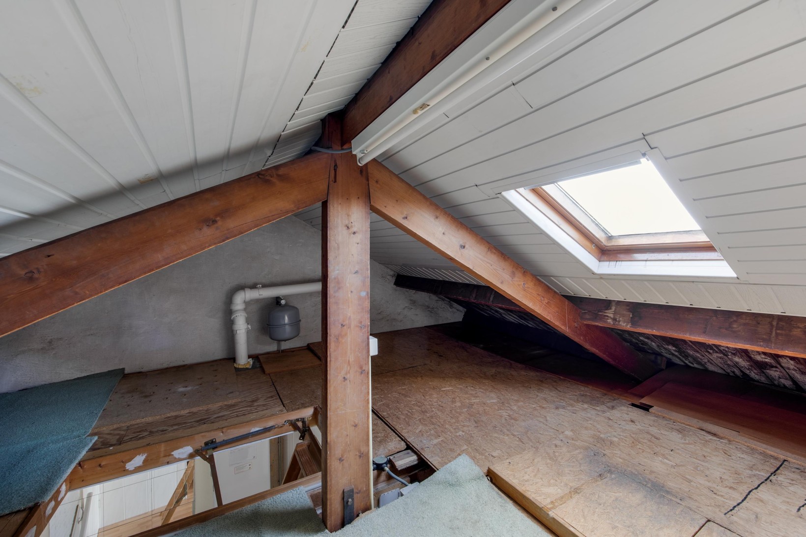 Tussenwoning te koop: Assendelverstraat 56, Haarlem