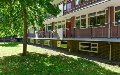 Van Leeuwen. 4