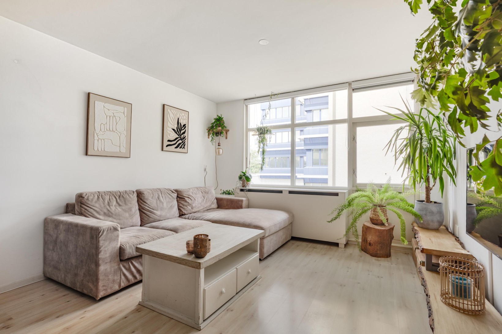 Appartement te koop: Narcisplantsoen 27, Haarlem