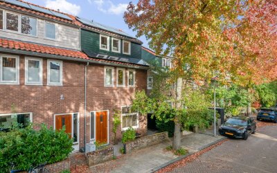 Van Raephorststraat 24