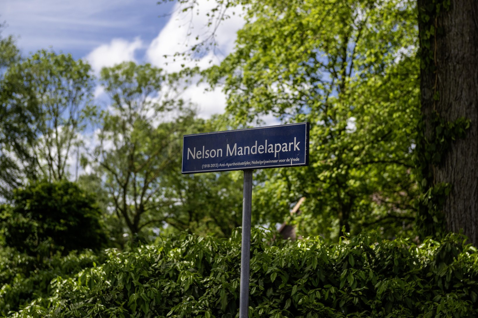 Appartement te koop: Transvaalstraat 10B, Haarlem