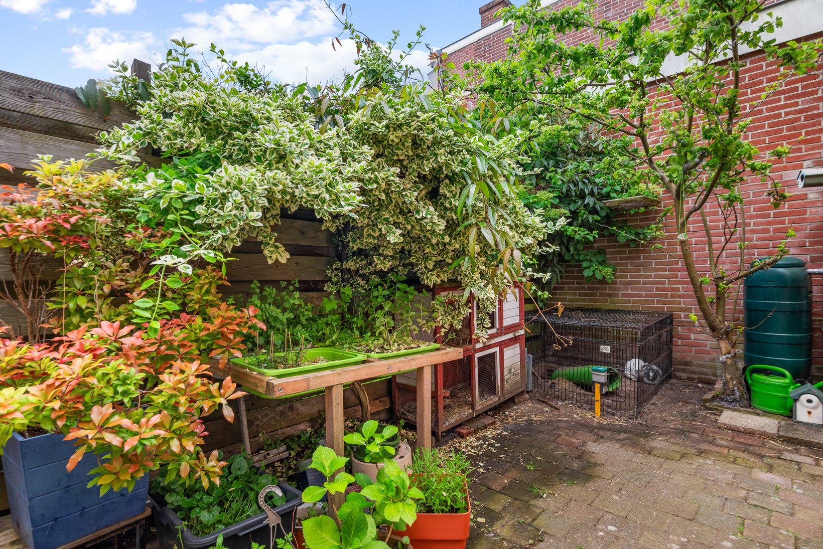 Tussenwoning te koop: Spionkopstraat 59, Haarlem