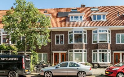 Stuyvesants. 80-RD
