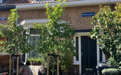 Blekenbergstraat 17