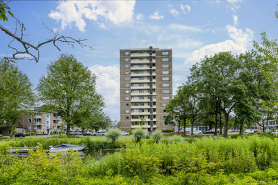 Jan Gijzenk. 383