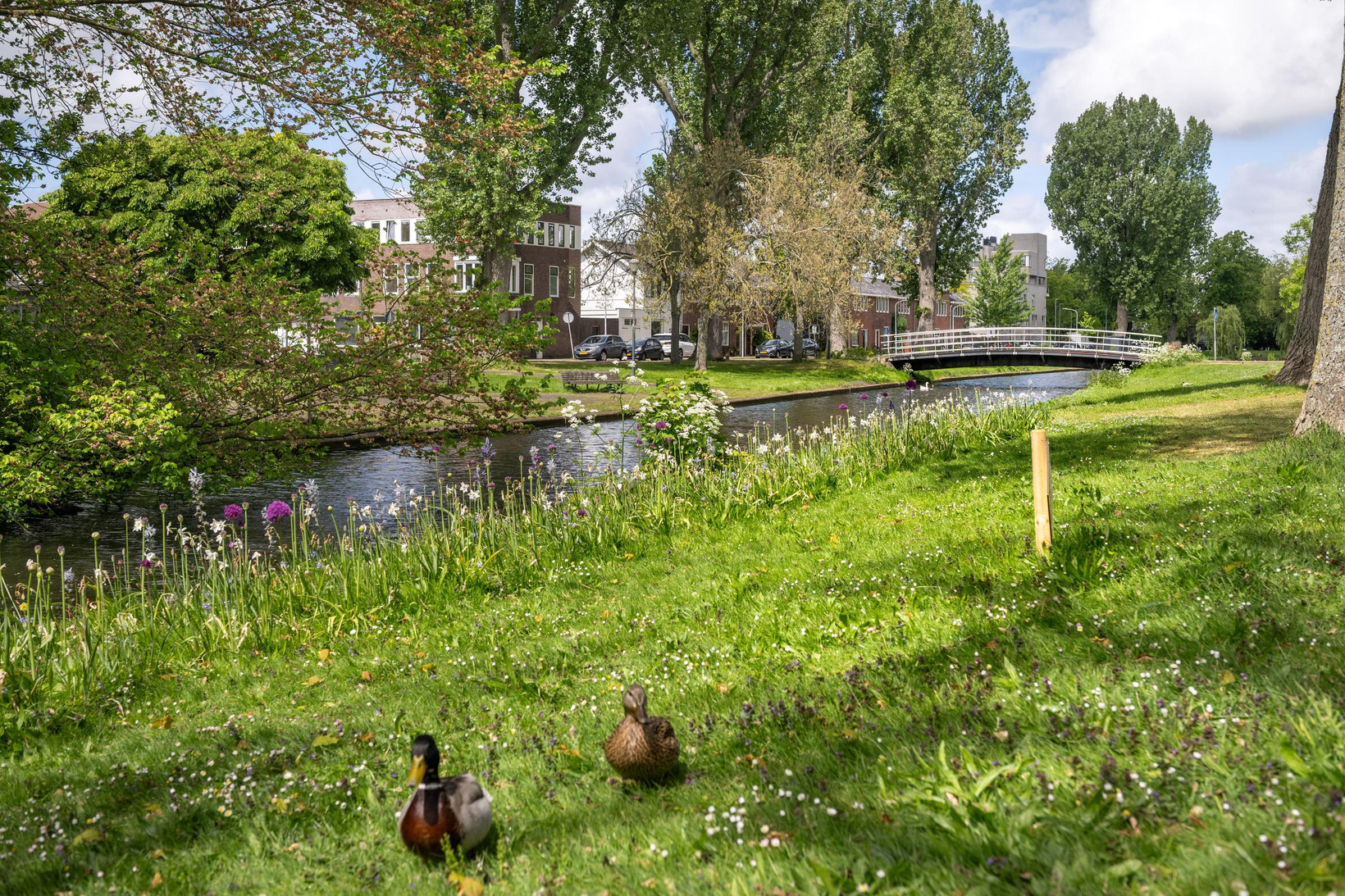 Appartement te koop: Johan Wagenaarring 29, Haarlem
