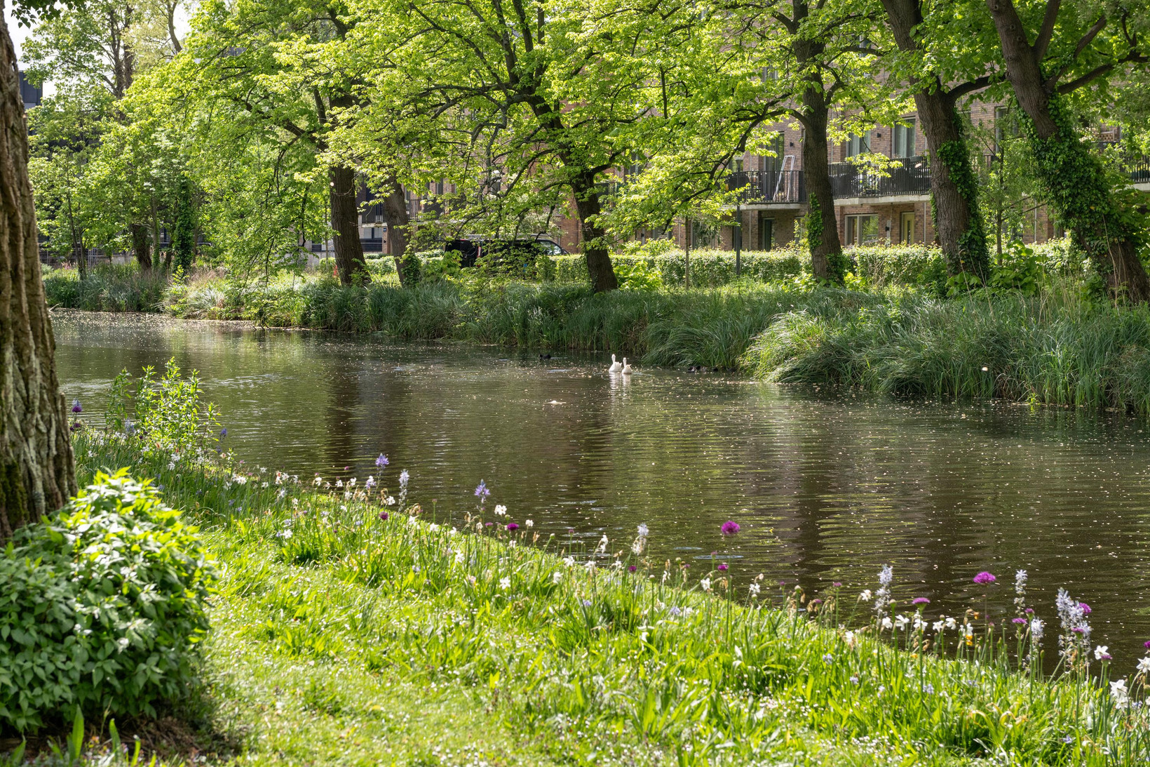 Appartement te koop: Johan Wagenaarring 29, Haarlem