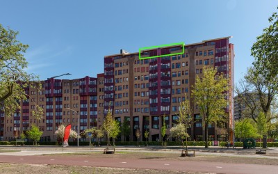 Leonard Springerlaan 143