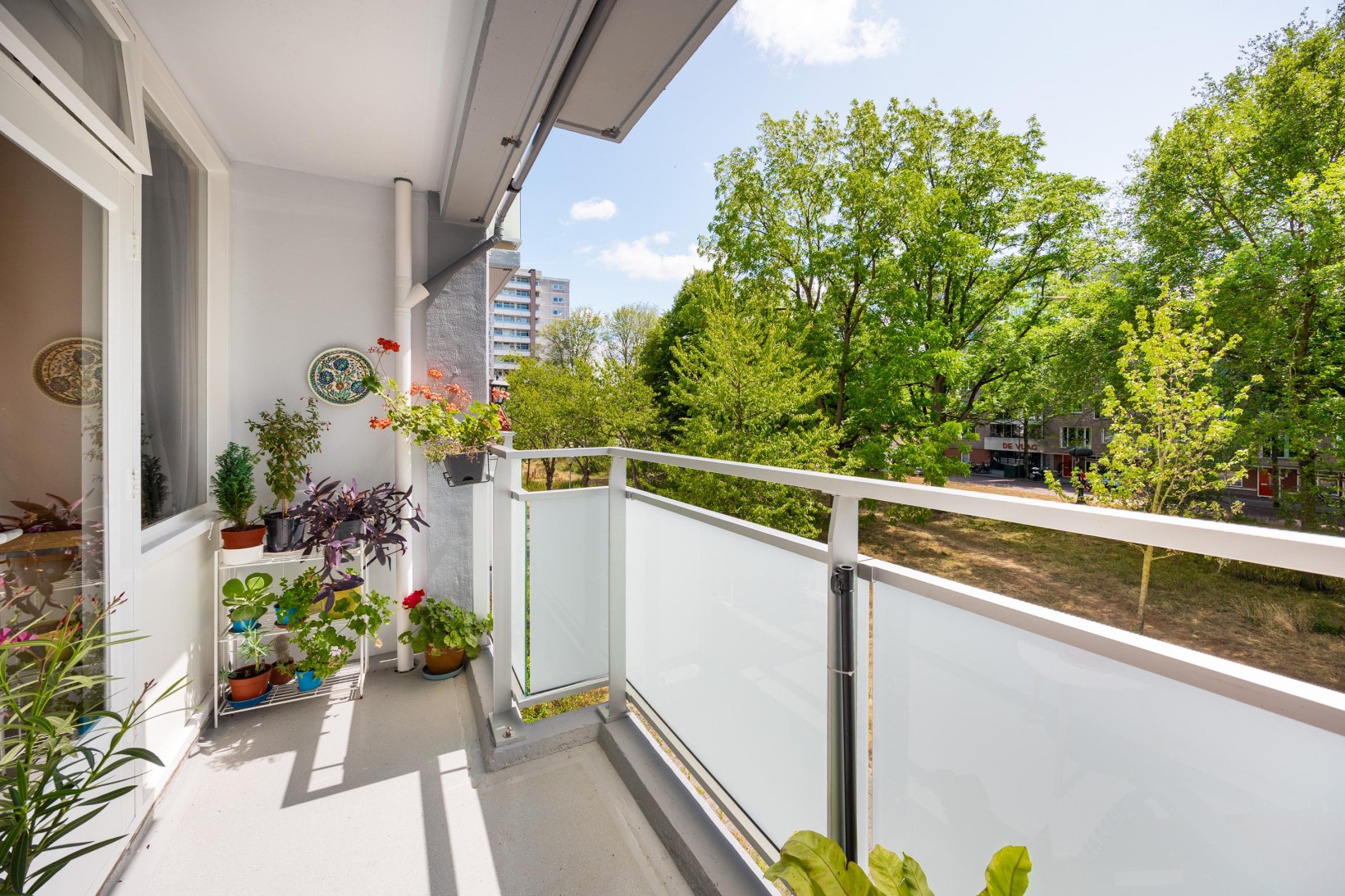Appartement te koop: Ierlandstraat 34, Haarlem