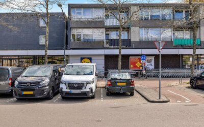 William Harveystraat 38