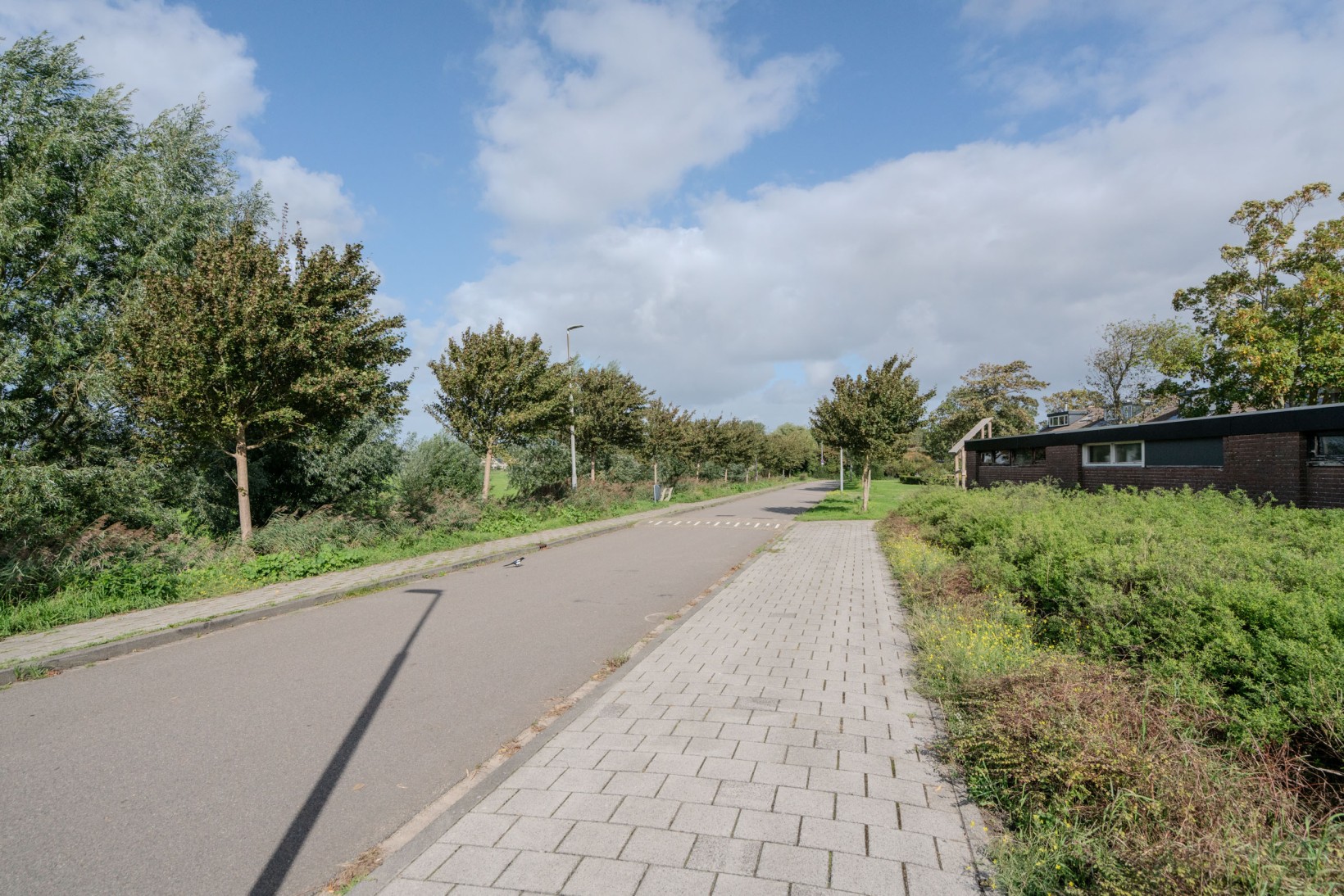 Hoekwoning te koop: Beveland 67, Haarlem