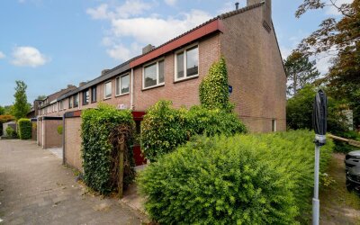 Saeftinge 97