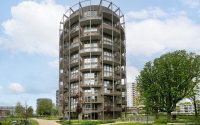 Spijkerboor. 314