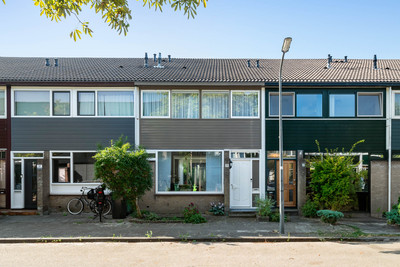 Jan van Zut. 19