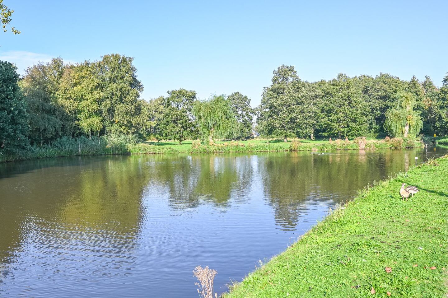 Appartement te koop: Santpoortse Dreef 84, Santpoort-Noord