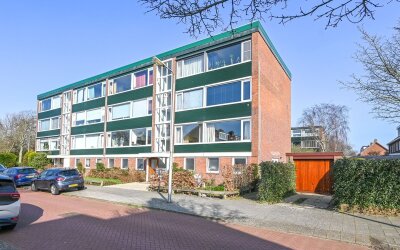 Stuyvesants. 15