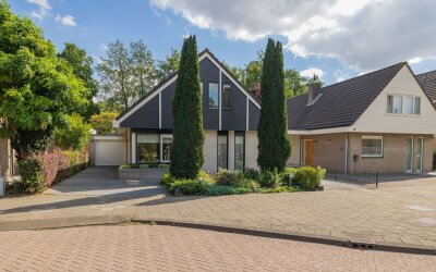 Landleeuw 43