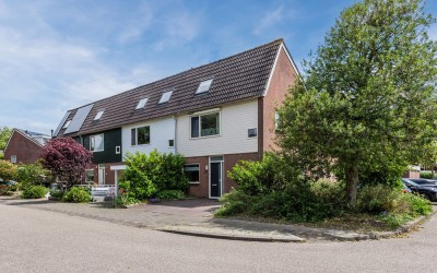 Dunantstraat 20