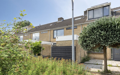Graan voor Visch 15113
