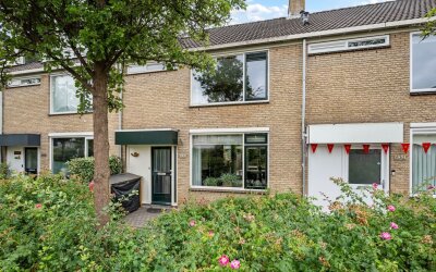 Graan voor Visch 15313