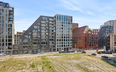 Mies van der Rohestraat 293