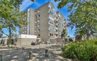 Graan voor Visch 16207