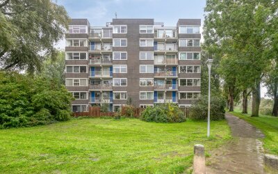 Graan voor Visch 17224
