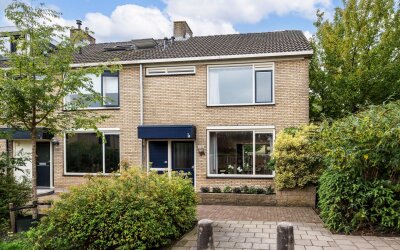 Graan voor Visch 17301