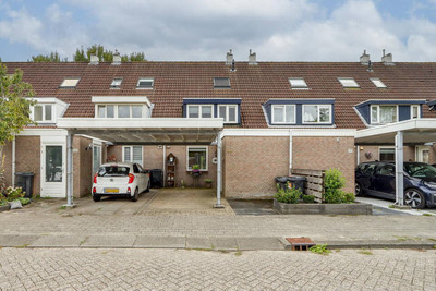 Zandbos 99