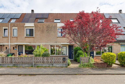 Albergerbos 120