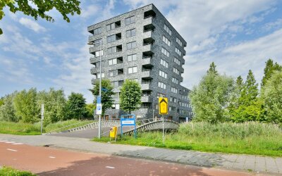 Rottumeroog 198