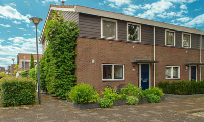 Schildgrond. 52