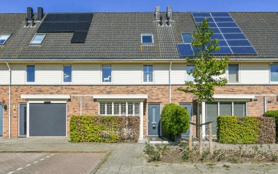 Wittenburg 31